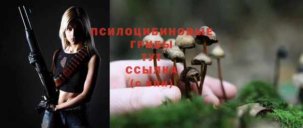 МДМА Верхний Тагил